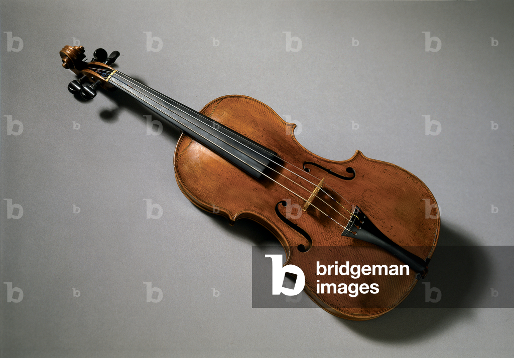 Viola (gemischte Medien)