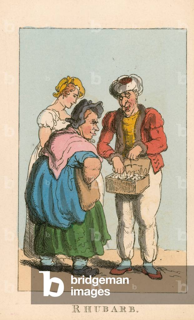 Bild von Gravur "Rhubarb (farbige Gravur)" von Thomas Rowlandson