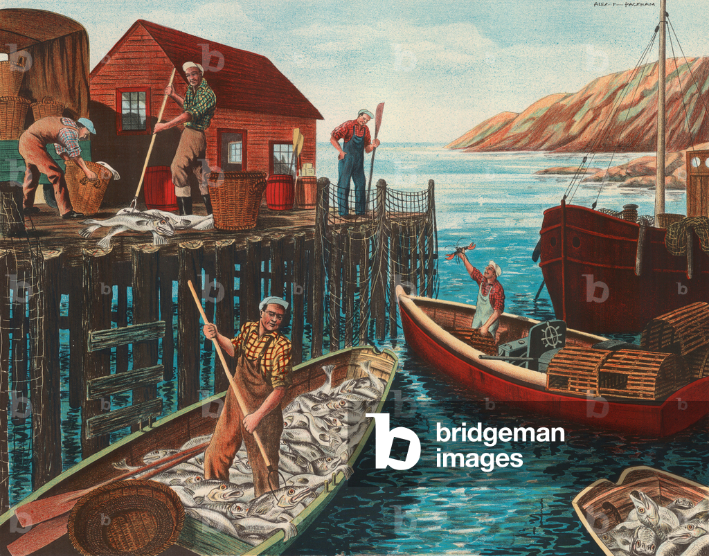 Image of Print depicting Cod fishing in Newfoundland (colour litho) 1901 by Alex F. Packham