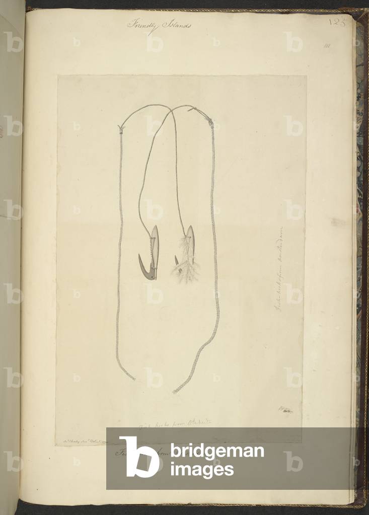 Ami da pesca di Otaheite e l'isola di Amsterdam