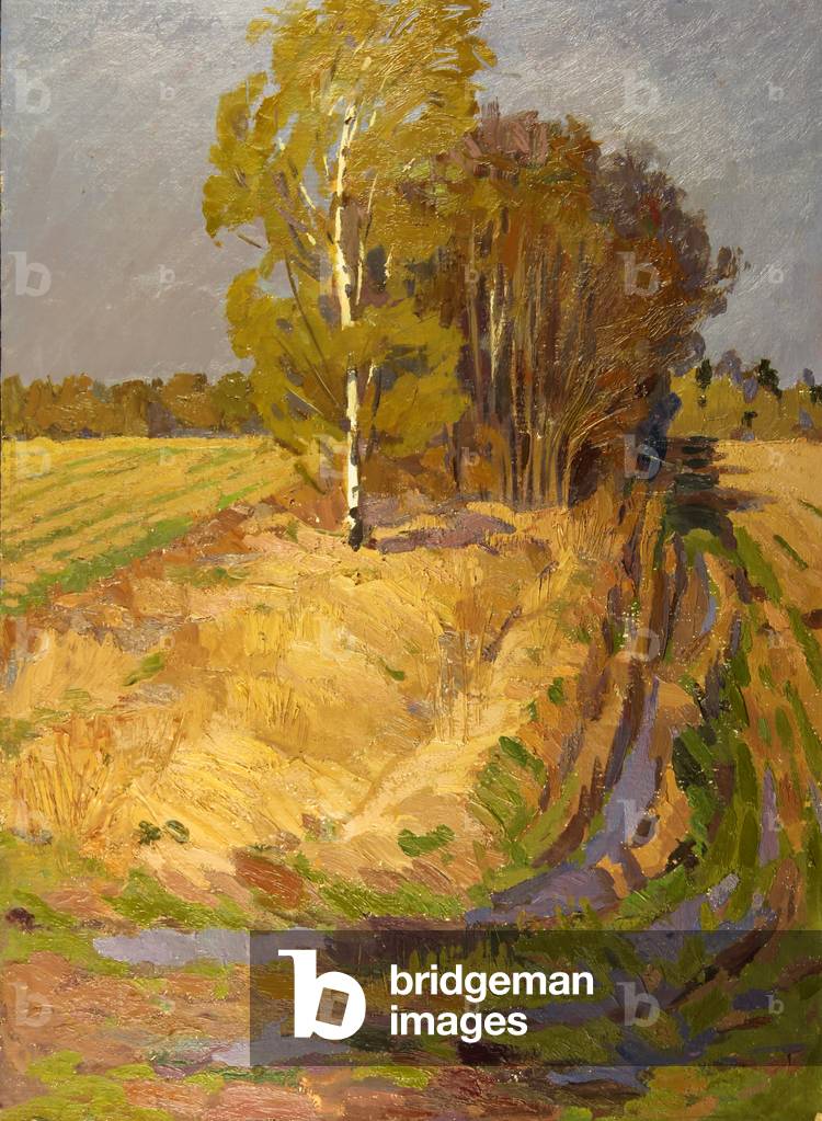 Campi con Birchtree, 1970 (olio su tavola)