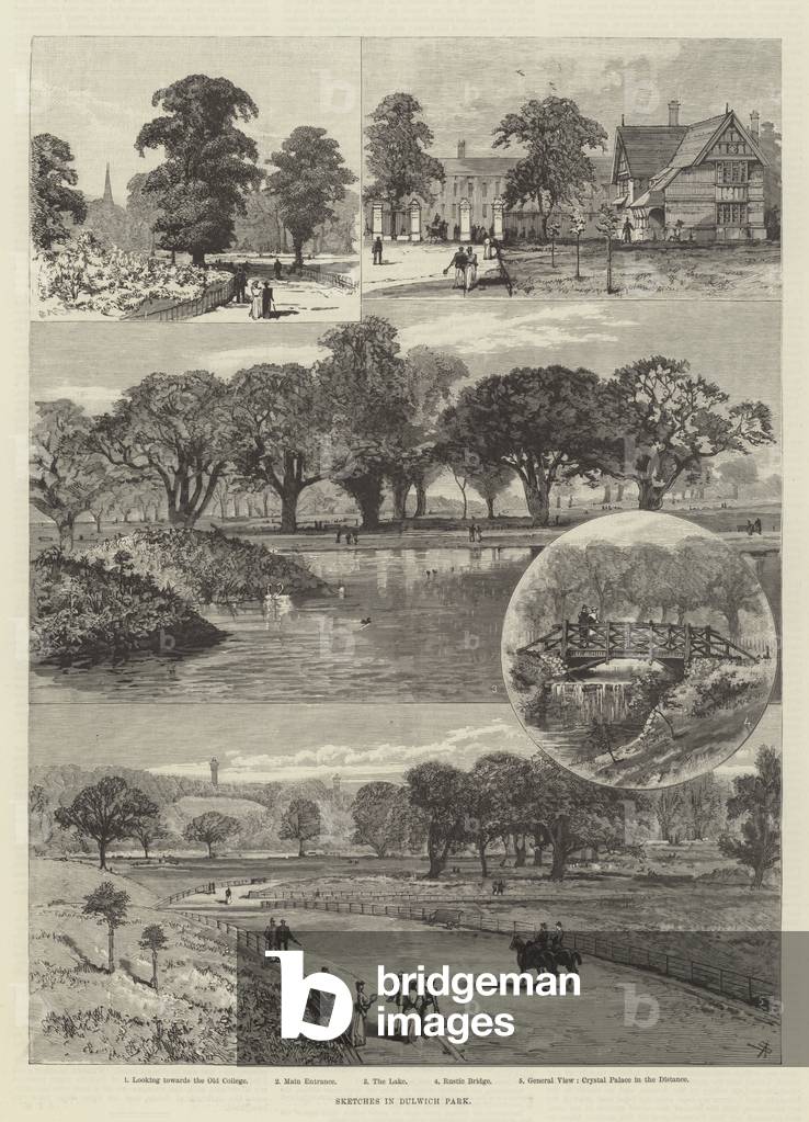 "schizzi in Dulwich Parco (incisione)" 1890 di English School, b/w