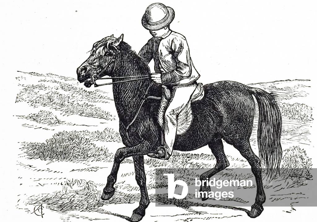 Gravure représentant un jeune garçon qui apprend à rouler son poney 1801, b/w