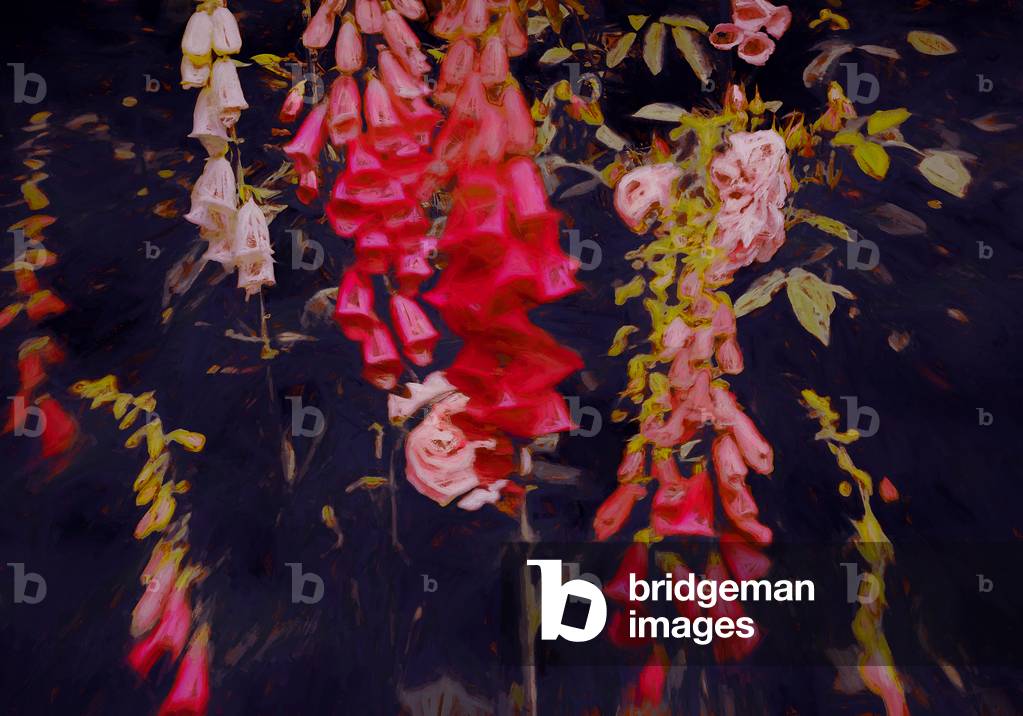 

Auch in dunklen Ecken gibt es Licht