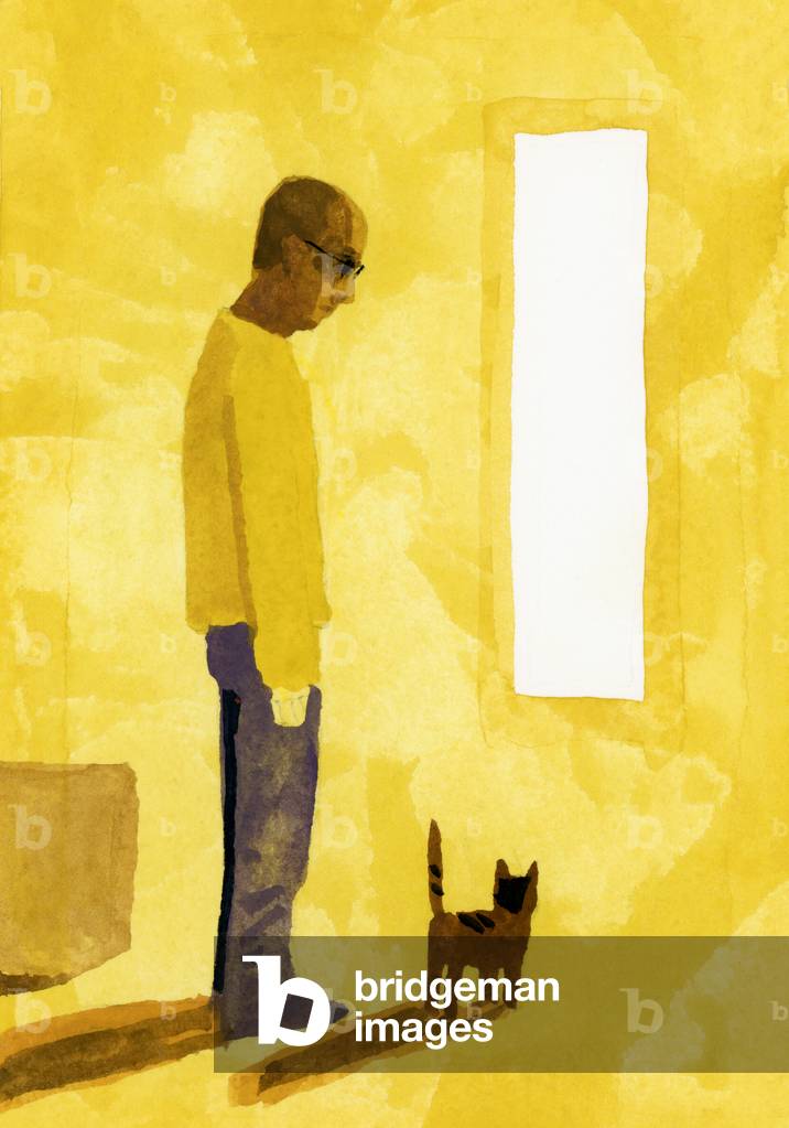 La stanza in cui è terminato il trasloco. Un uomo con un gatto, 2017 (pittura)