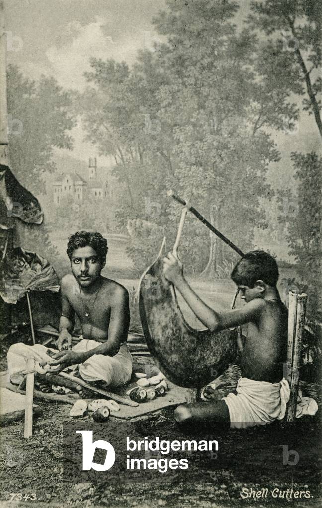 Immagine di Fotografia "Frese a conchiglia indiane" 1900