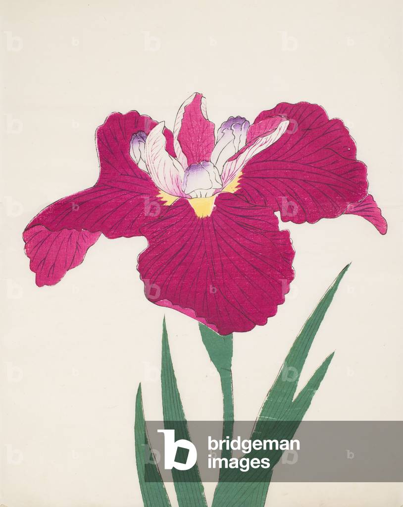 Date-Dogu, n. 2, 1890 (stampa a colori in legno)