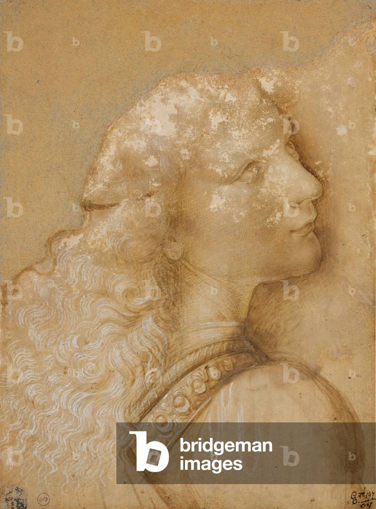 "Busto di giovane" 1475 di Andrea del Verrocchio, b/w