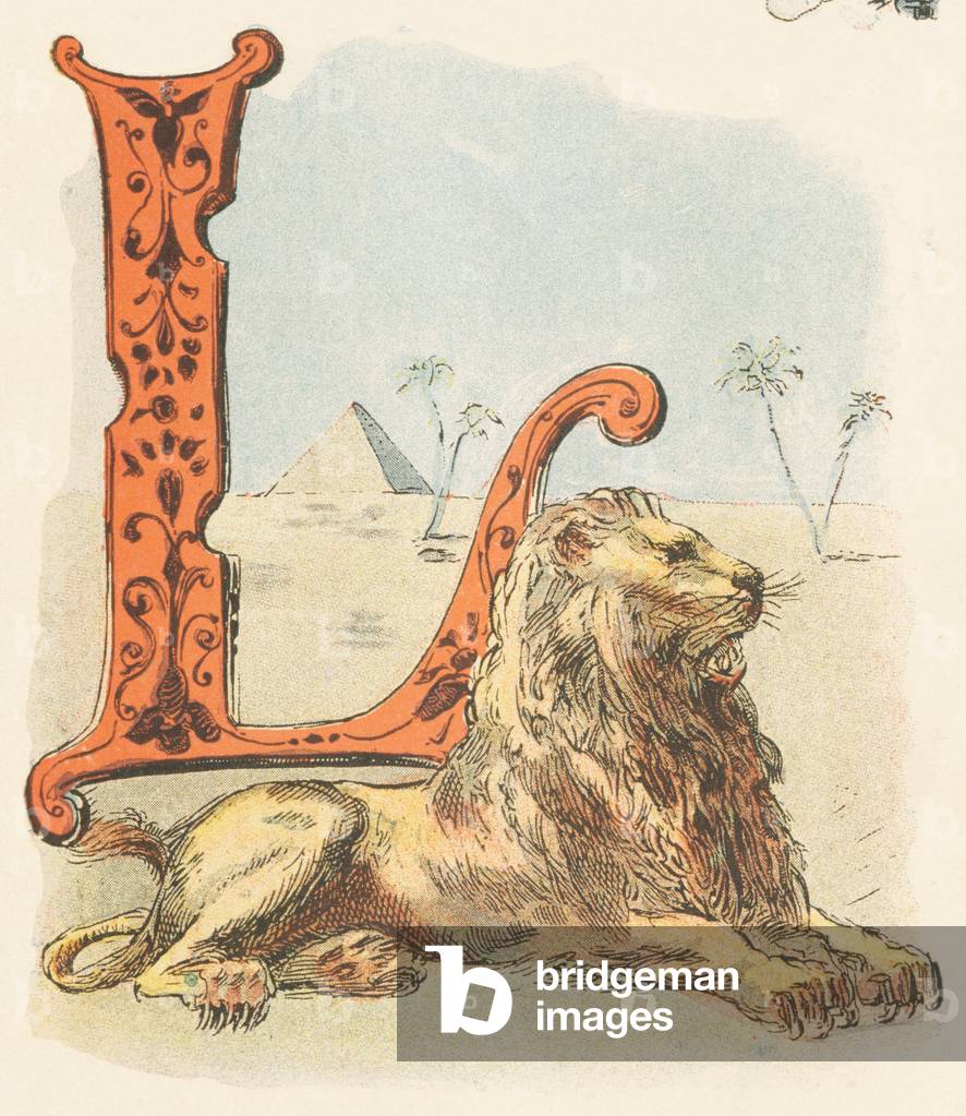 L : Lion