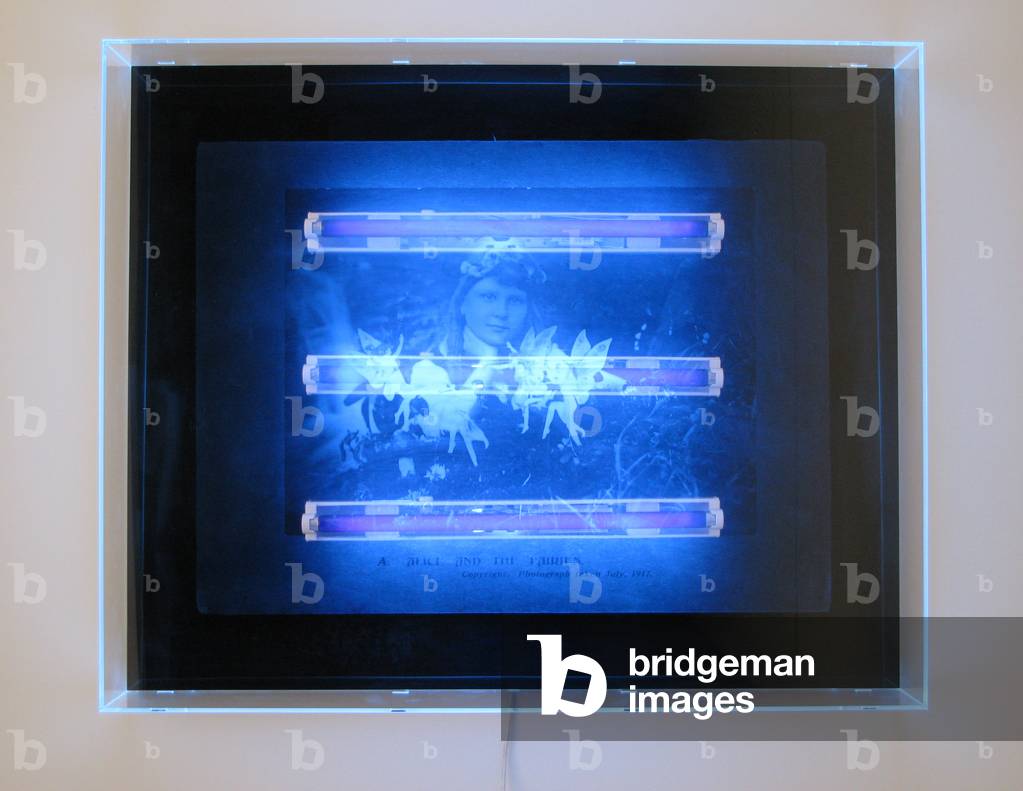 Immagine di Fotografia "UV Garden" 2008 di Mat Collishaw