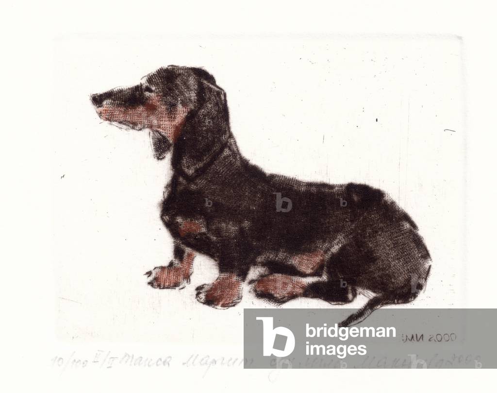 Image of Engraving depicting Dachshund, 2000 by Irina Makoveeva