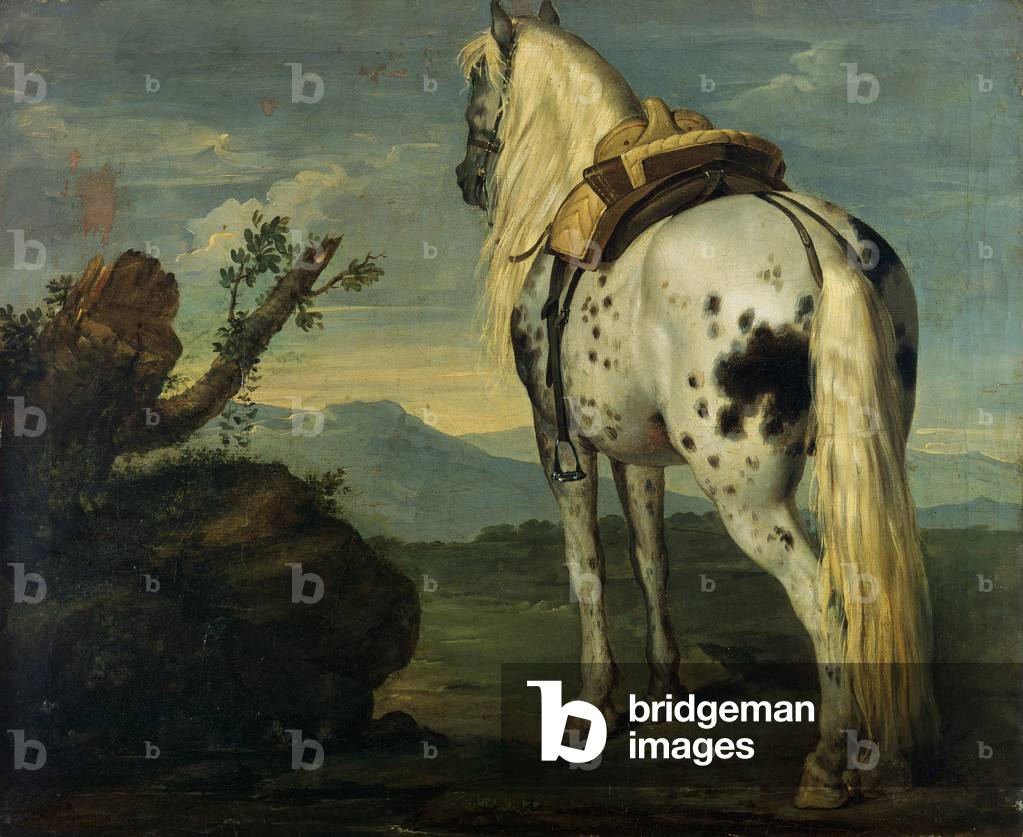 Ein Pferd von Selle Français in einer Landschaft, 1787 (Öl auf Leinwand)