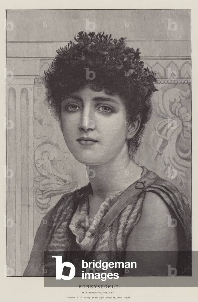 "Geißblatt (Gravur)" 1894 von Norman Prescott Davies