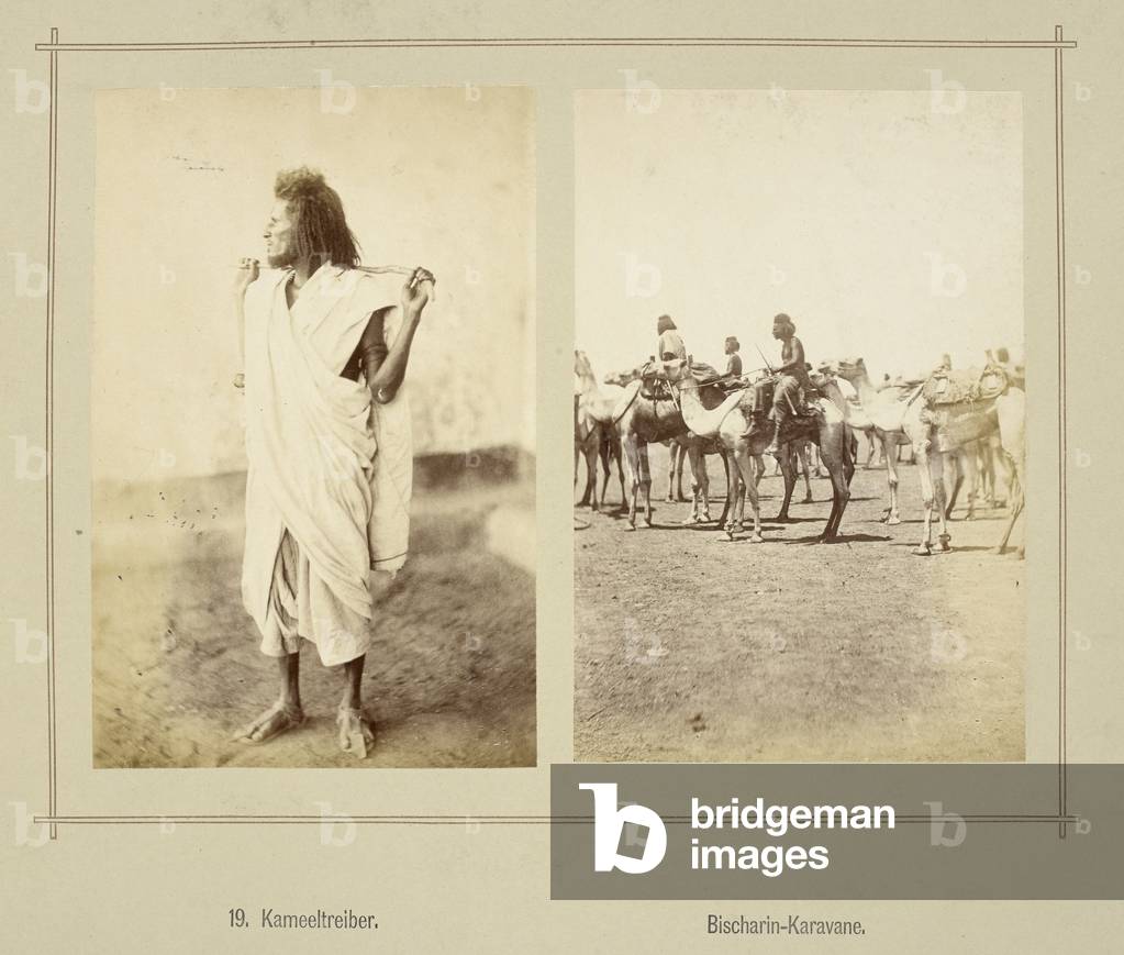 "Kameeltreiber. Bischarin-Karavane. Autista di cammello. Carovana Bisharin. I Bisharin sono un gruppo etnico c