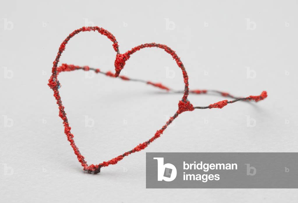 "Anello a cuore", c.2004 di Bettina Dittlmann