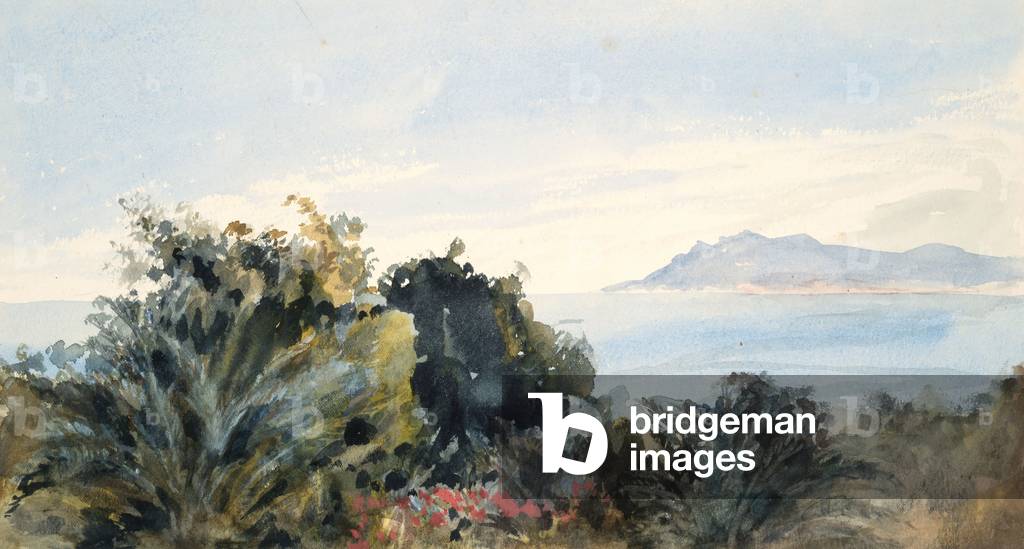 Immagine di Dipinto "Paesaggio con specchio d'acqua (w/c su carta tessuta)" 1801 di Barbara Leigh Smith Bodich