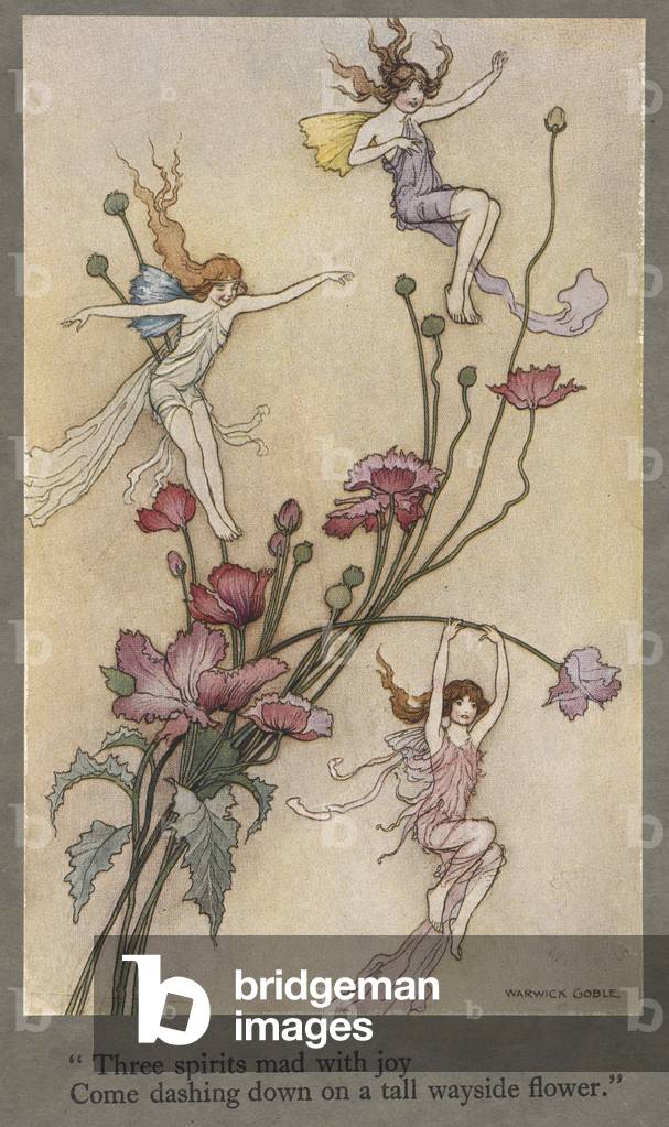 “Trois esprits fous de joie s'enfoncent sur une grande fleur en bordure de route.” Illustration pour un poème 