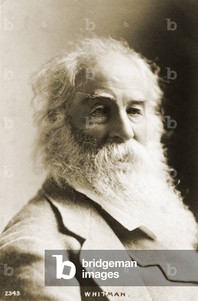 Bild von Fotografie "WHITMAN" 1801 von Unknown photographer, b/w