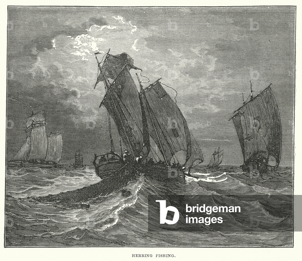 Bild von Gravur "Heringsfang (Gravur)" 1801 von English School