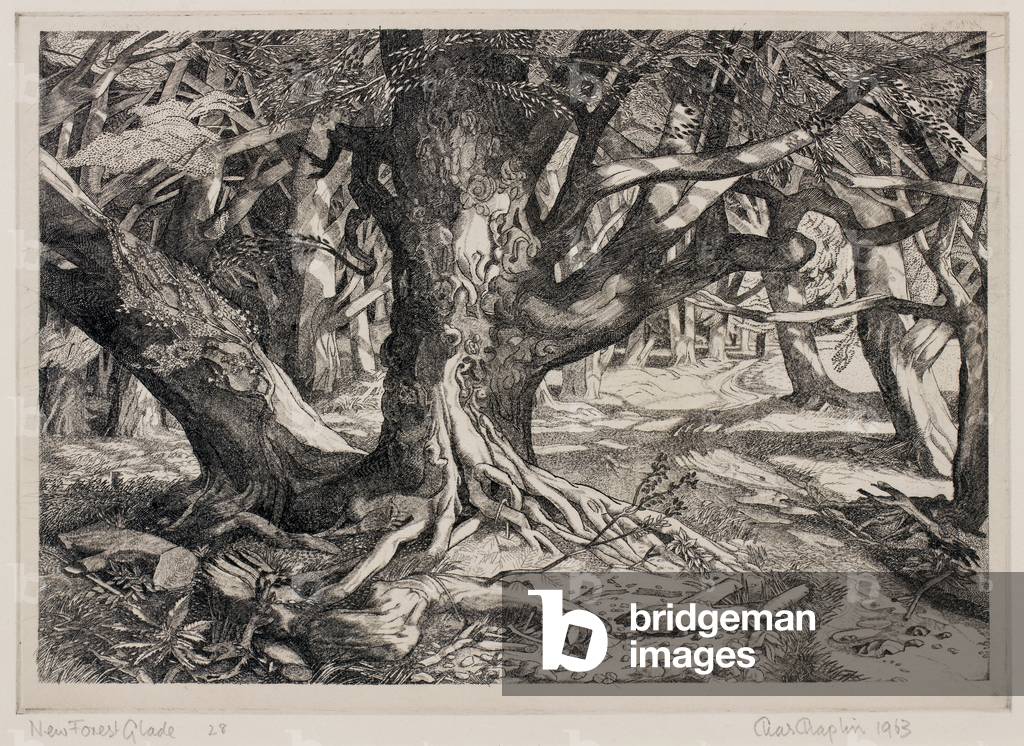New Forest Glade 1963 by Charles Chaplin