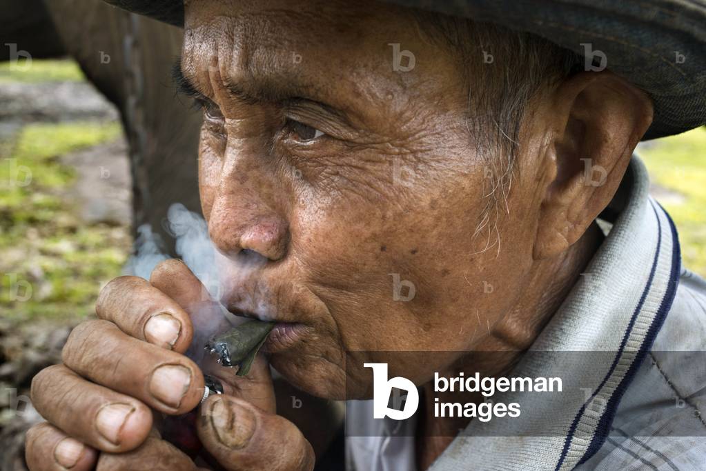 Entraîneur d'éléphant Mahout à Kiet Ngong, Laos (photo)