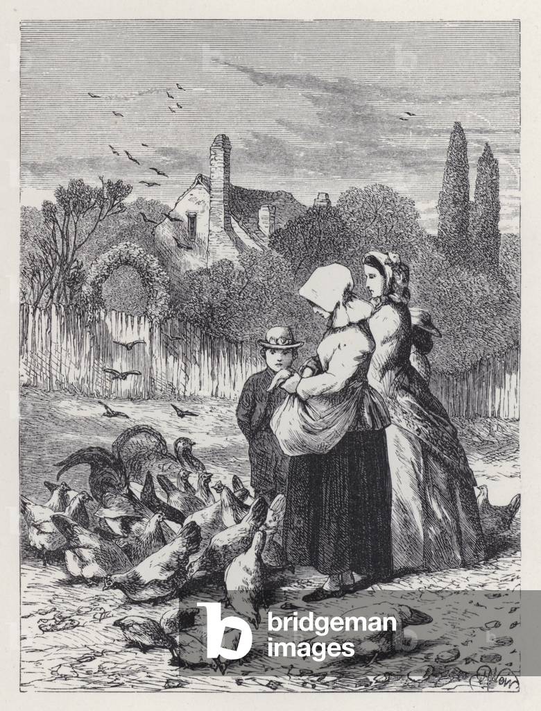 "Der Geflügelhof (Gravur)" von Harrison William Weir