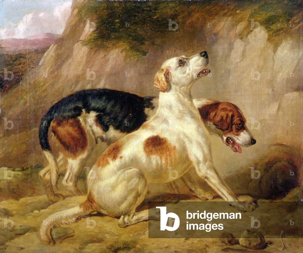 Image of Painting depicting Fox Hounds 1844 by Thomas Woodward