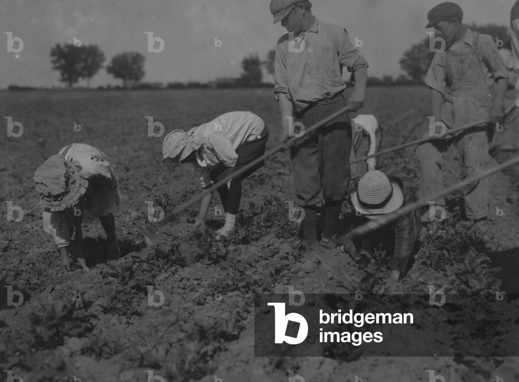 Bild von Fotografie "Drei Erwachsene und sechs Kinder von sieben Jahren bis zwölf Jahren hart an der Arbeit au