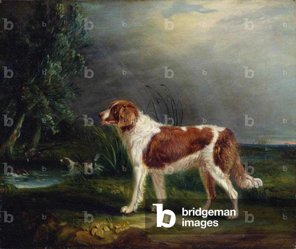 Due spagnoli di un flusso, uno mettendo su Germano reale, 1819 (olio su tela)