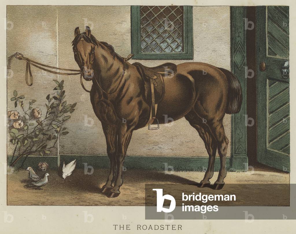 The Roadster (colore lito)