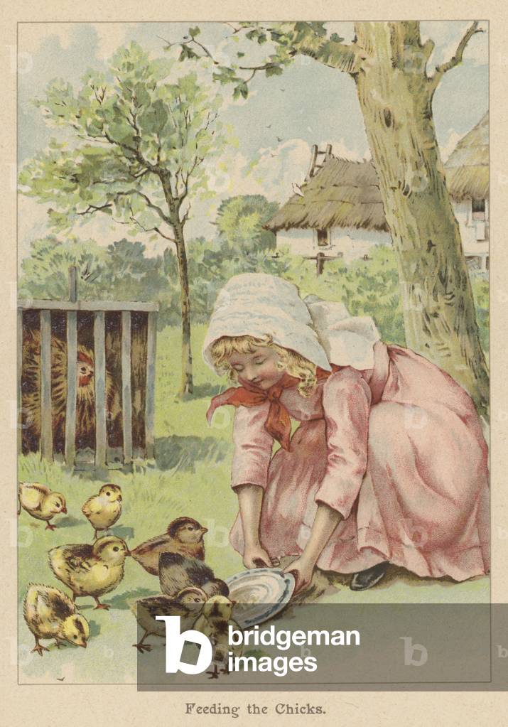 "Nutrire i Pulcini (cromolito)" di English School
