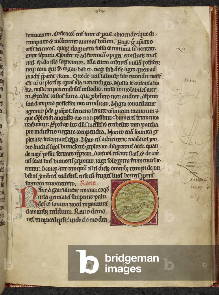 "Seite der illuminierten Handschrift."