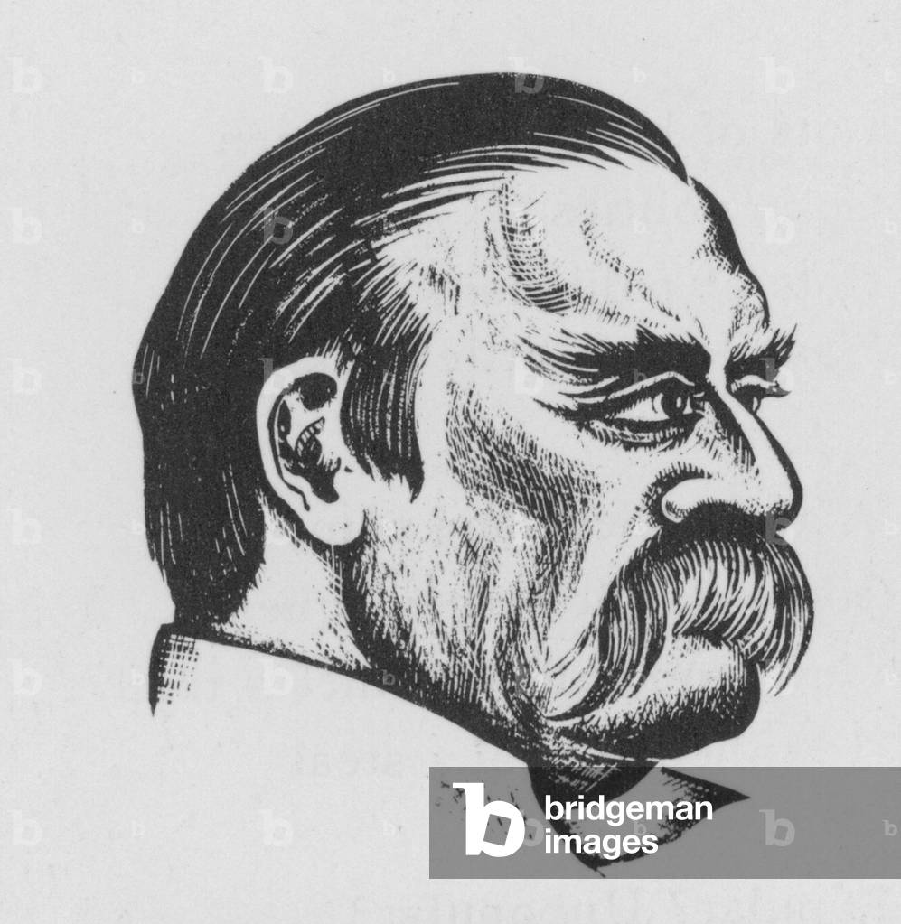 Immagine di Stampa "Grover Cleveland (lito)" di Charles Child