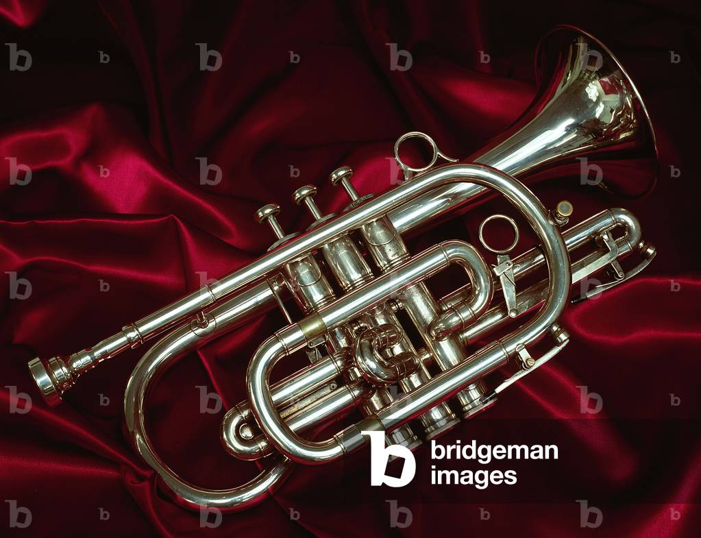 INSTRUMENTS  -