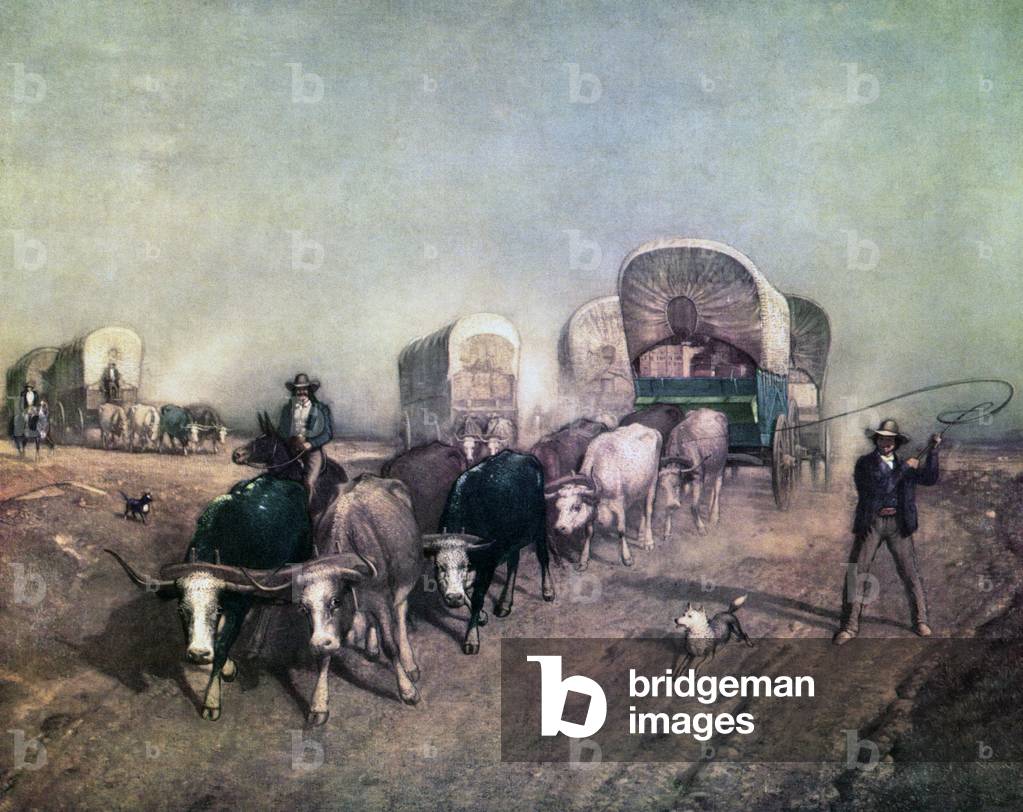 Train of Conestoga Wagons in 1850er Amerika, 1954 (Siebdruck)