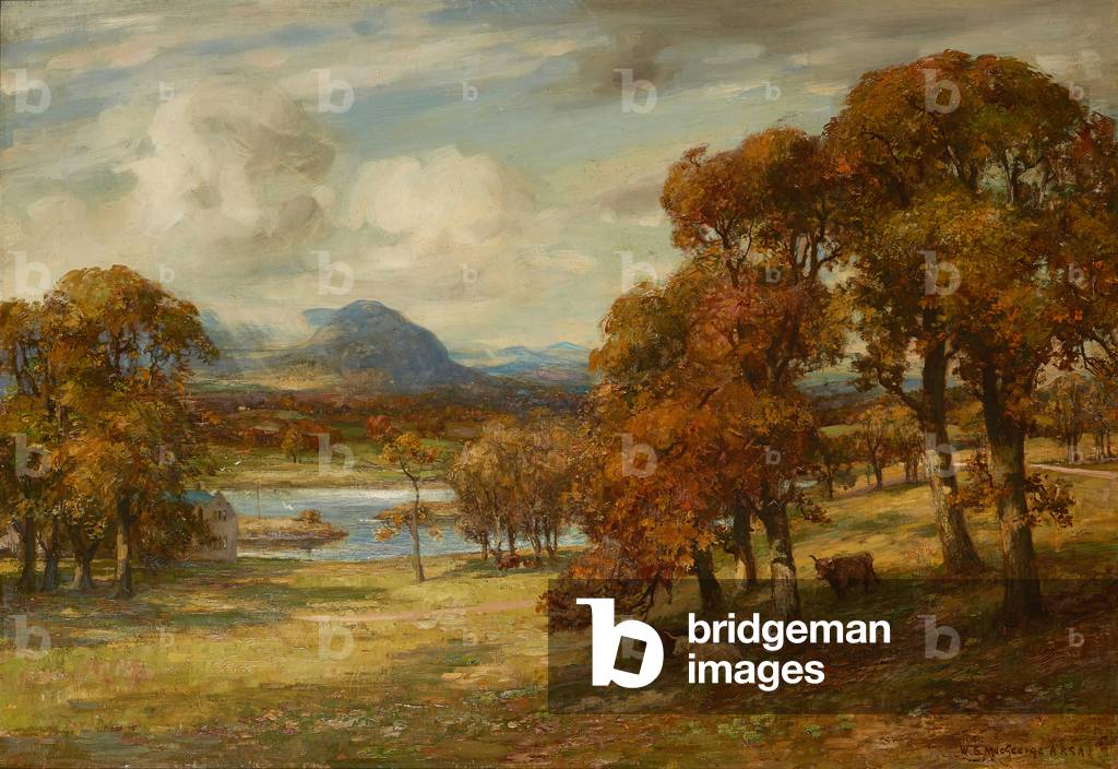 The Young Cricketer (penna e inchiostro e acquerello)