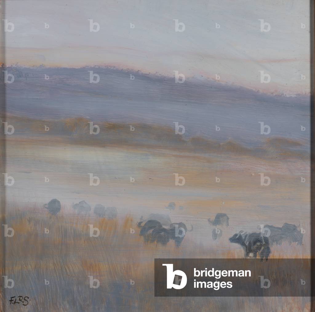 Bufalo nella nebbia, olio su lino, 2020