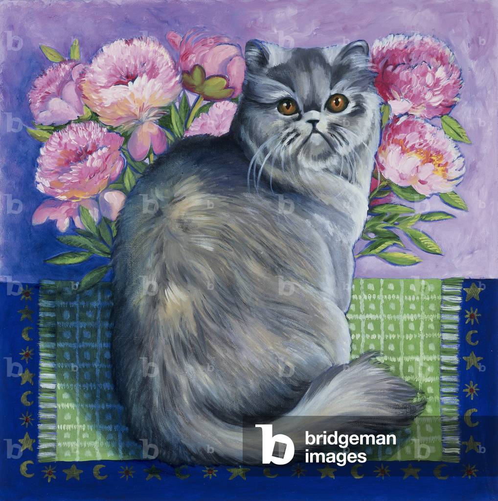 Gatto persiano -Serie I 1997 (olio su tela)