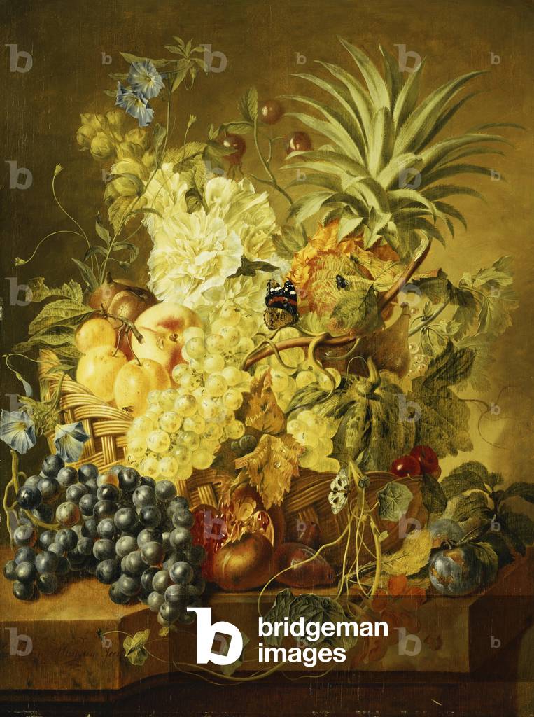 Bild von Gemälde "Pflaumen" von Jan van Huysum