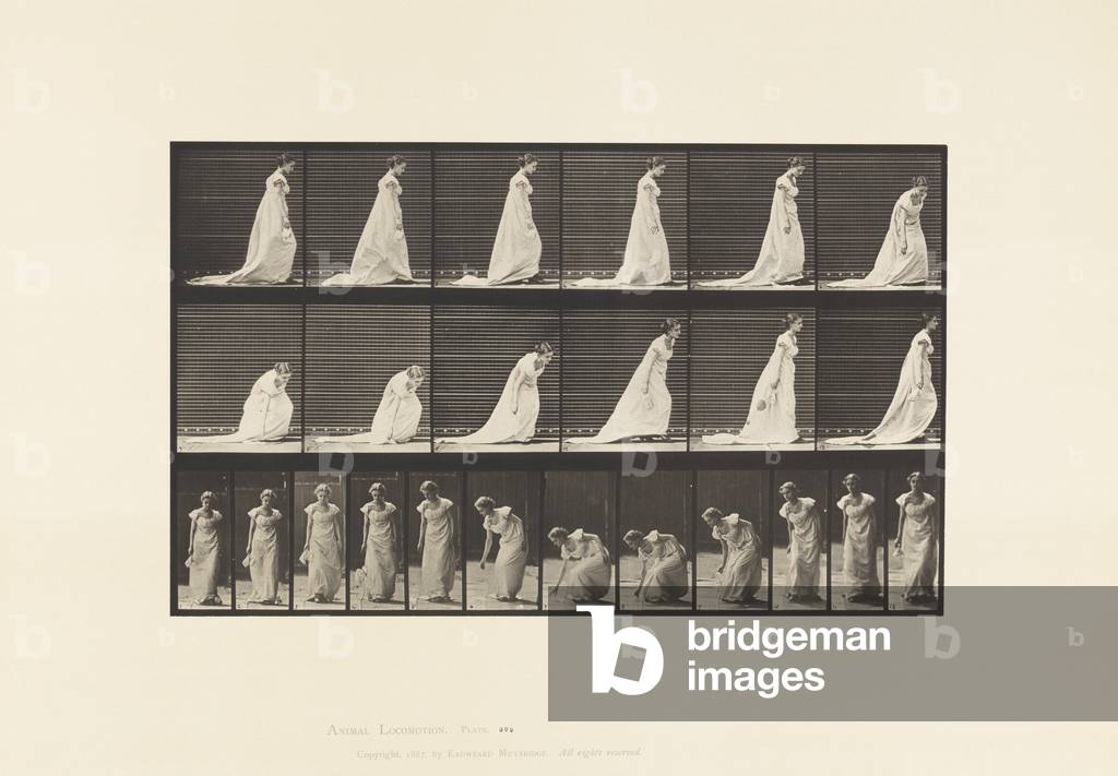 Immagine di Fotografia "Placca 209. curvatura e sollevamento di un fazzoletto" 1885 di Eadweard Muybridge, b/w