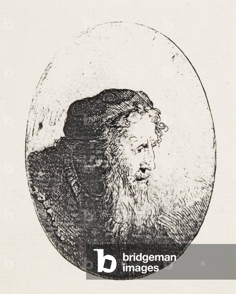 Bearded Old Man, c.1644-46 (etching)