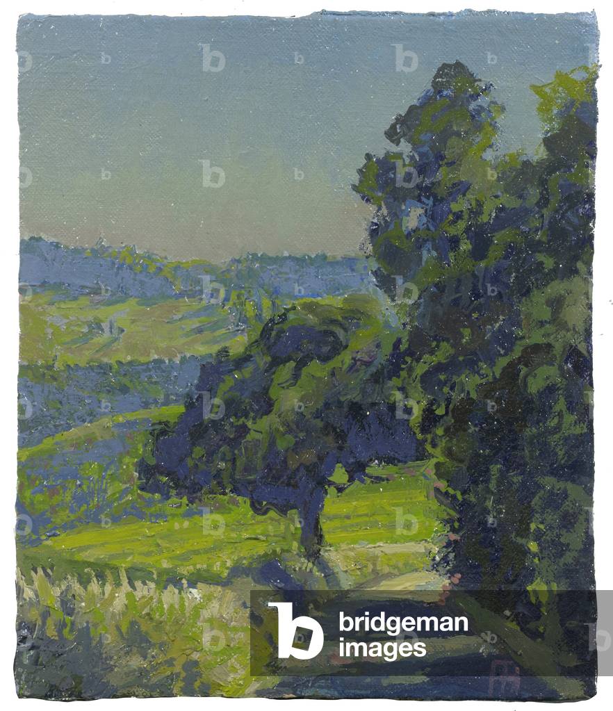 La strada per Urbino, 2015 (olio su lino)