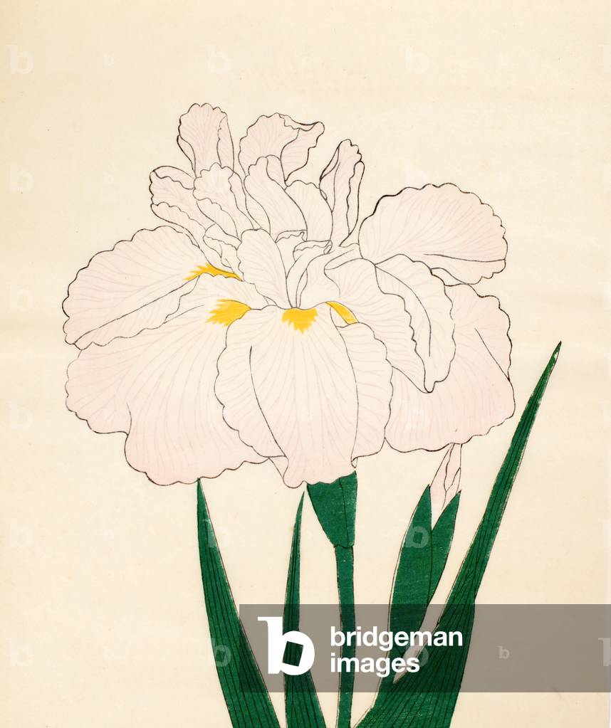 "En-Yo-No-Ten", 1890 di Japanese School