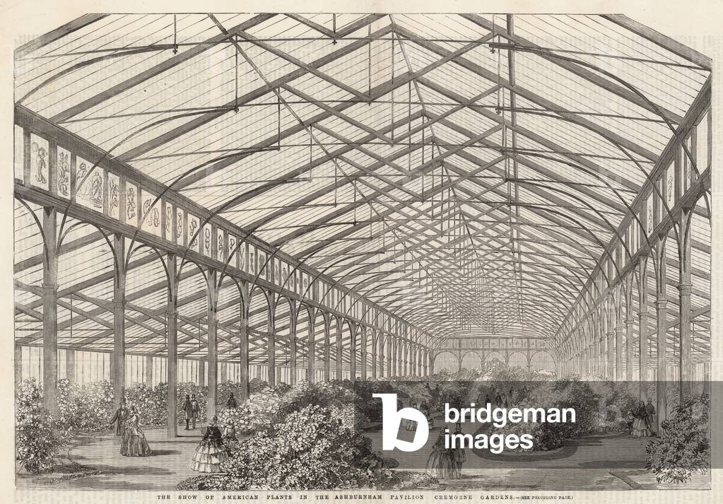 Lo spettacolo di piante americane nel padiglione Ashburham, Cremorne Gardens (incisione)