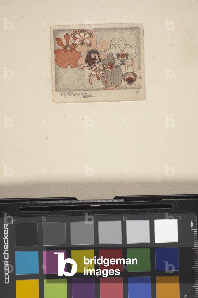 Untitled (colour etching)