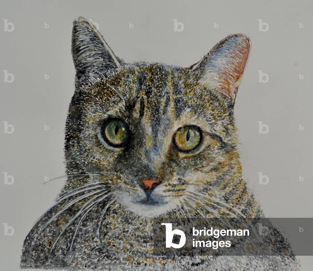 Image of Painting depicting Cat by Anthony Butera