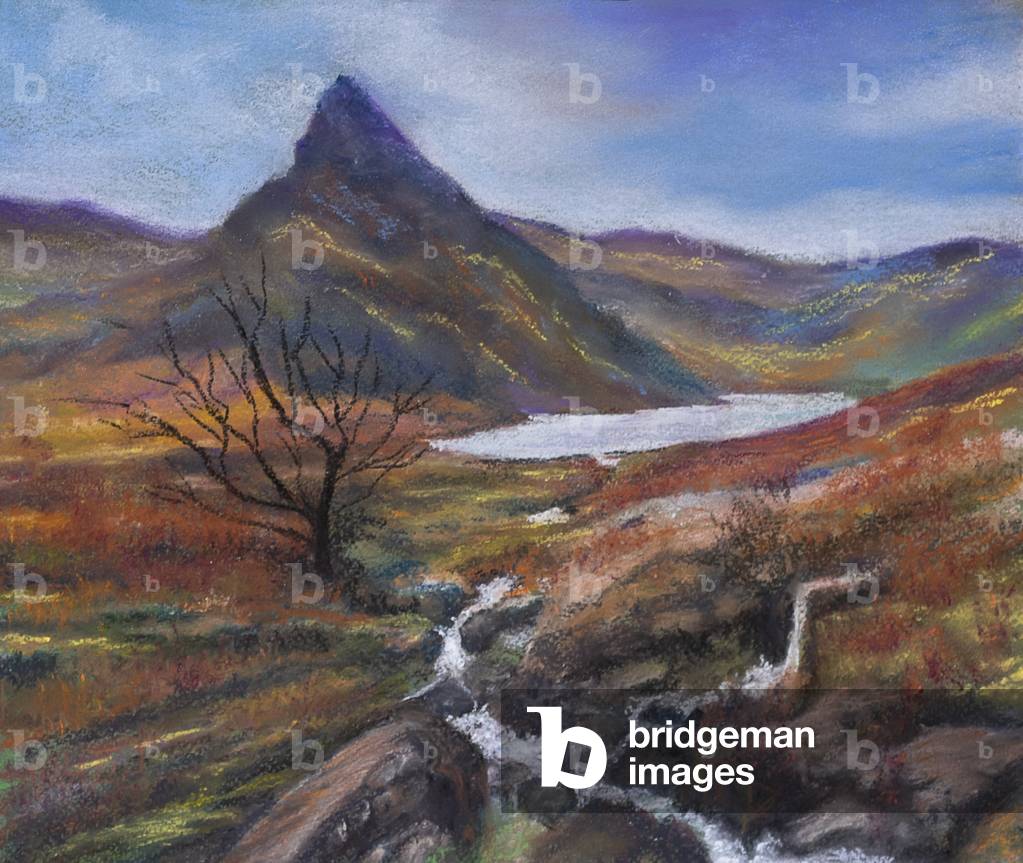 "Il distretto dei laghi" di Margo Starkey