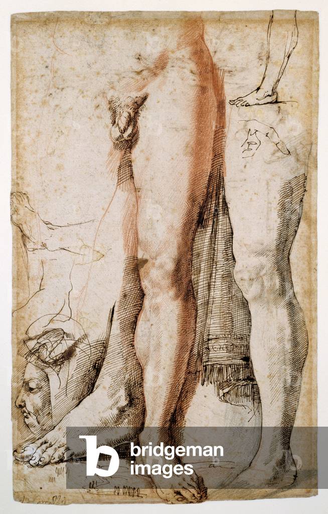 Studies of a man's left leg, a left hand and a man's head in profile (red chalk reinforced with pen & brown in