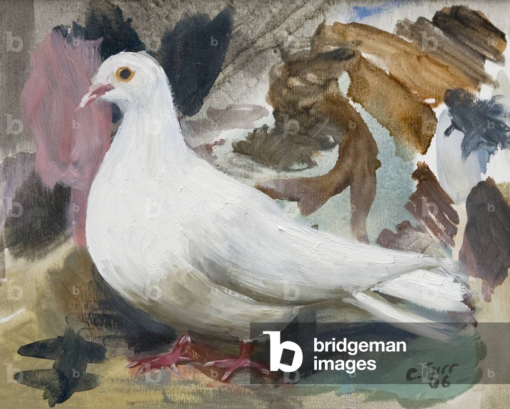 Colomba, 2006 (olio su tela)