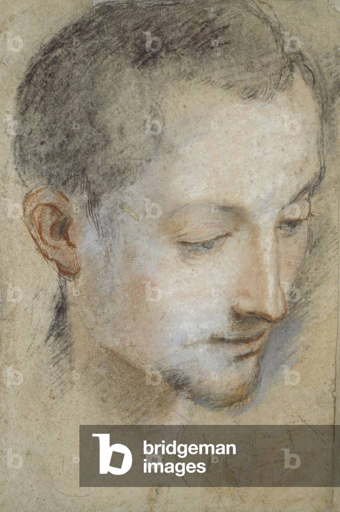 studio di un giovane man's testa (nero, rosso, e rosa gessetti su carta grigiastra)